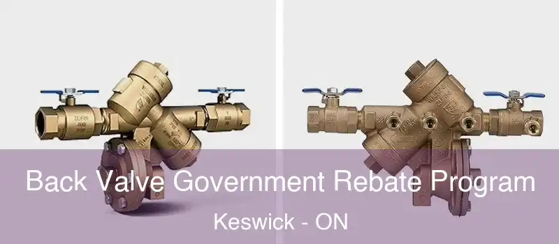  Back Valve Government Rebate Program Keswick - ON