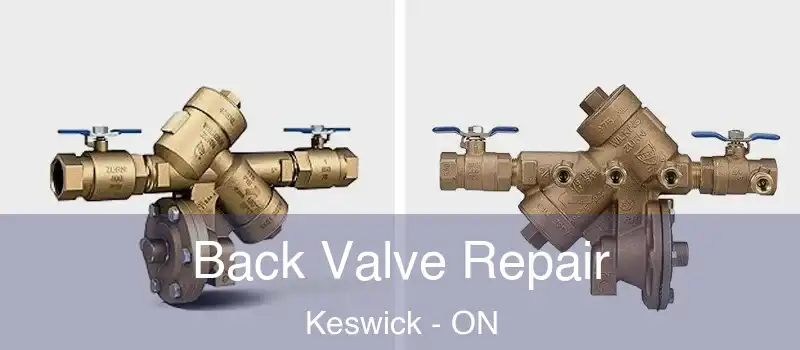  Back Valve Repair Keswick - ON