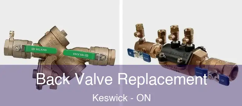  Back Valve Replacement Keswick - ON