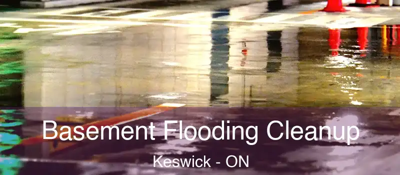 Basement Flooding Cleanup Keswick - ON