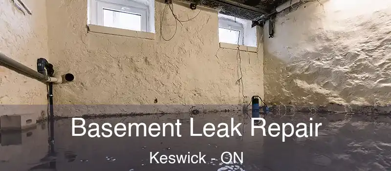  Basement Leak Repair Keswick - ON