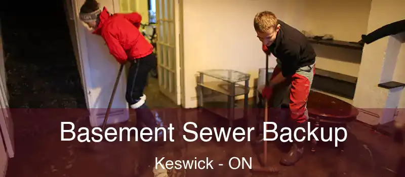  Basement Sewer Backup Keswick - ON