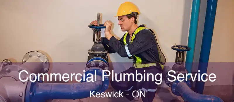  Commercial Plumbing Service Keswick - ON