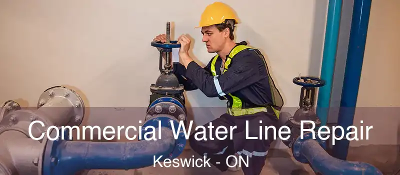  Commercial Water Line Repair Keswick - ON