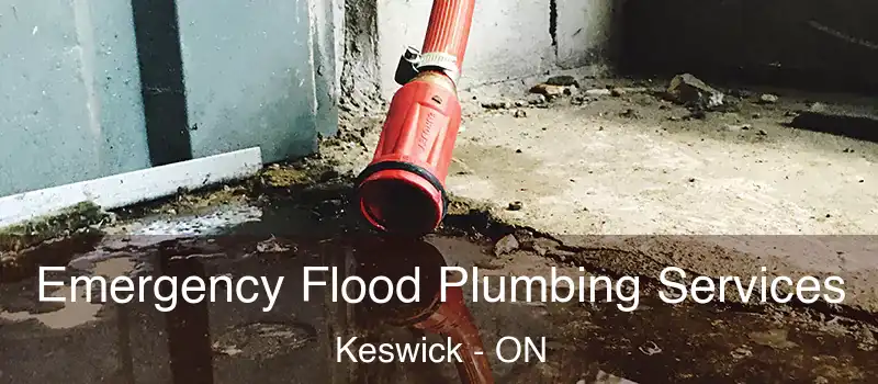  Emergency Flood Plumbing Services Keswick - ON