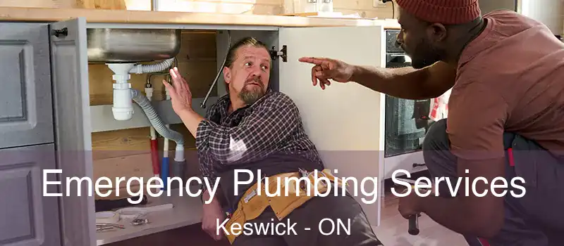  Emergency Plumbing Services Keswick - ON