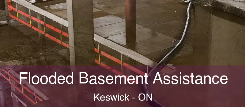  Flooded Basement Assistance Keswick - ON