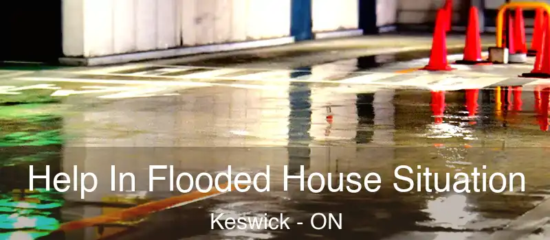  Help In Flooded House Situation Keswick - ON