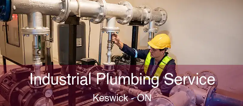  Industrial Plumbing Service Keswick - ON