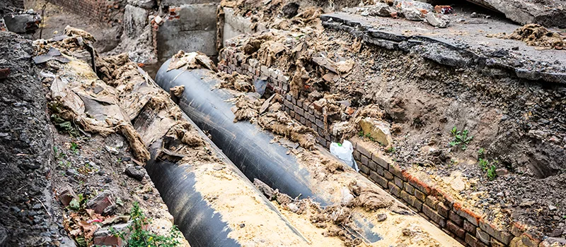 Commercial Sewer Tree Roots Damage Solutions in Keswick, ON