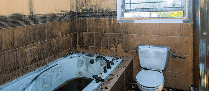Residential Water Damage Restoration in Keswick, ON