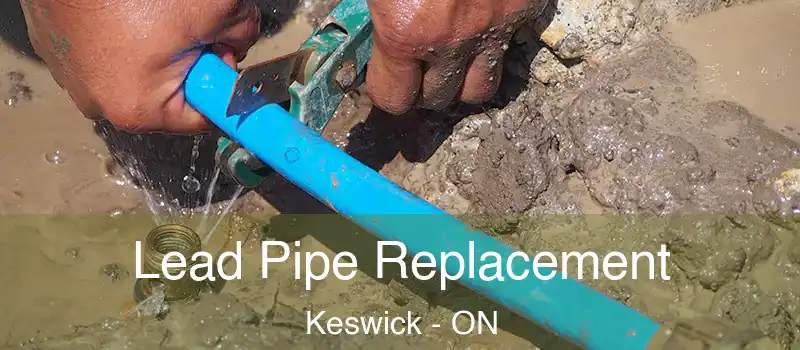  Lead Pipe Replacement Keswick - ON