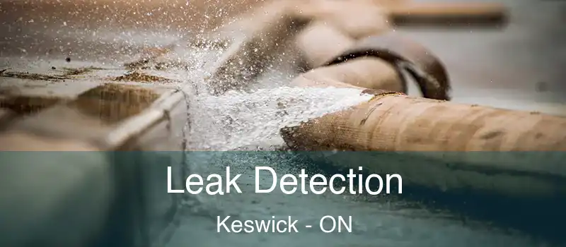  Leak Detection Keswick - ON
