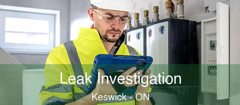  Leak Investigation Keswick - ON
