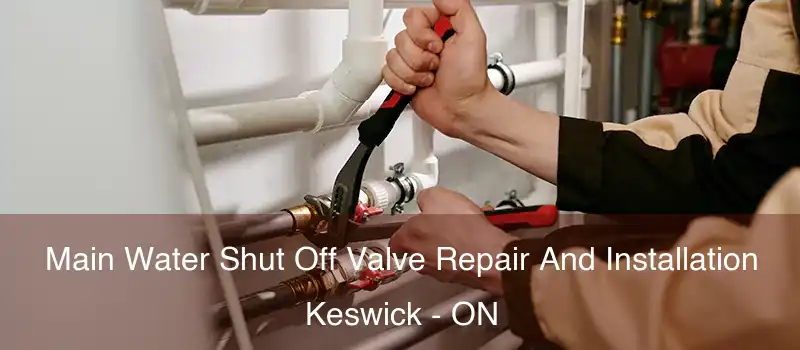  Main Water Shut Off Valve Repair And Installation Keswick - ON