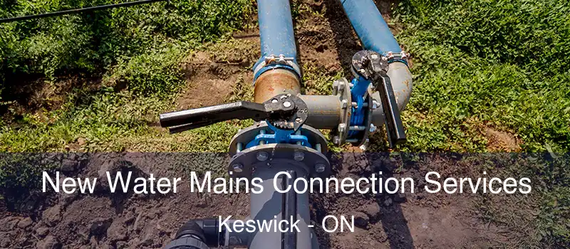  New Water Mains Connection Services Keswick - ON