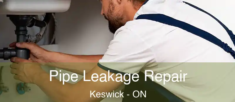  Pipe Leakage Repair Keswick - ON