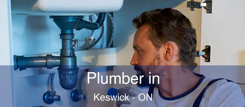  Plumber in Keswick - ON