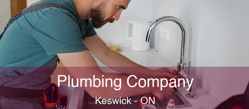  Plumbing Company Keswick - ON