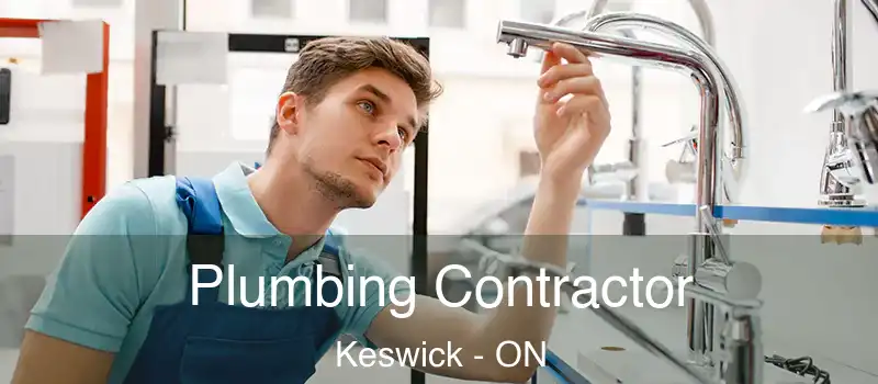  Plumbing Contractor Keswick - ON