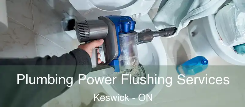  Plumbing Power Flushing Services Keswick - ON