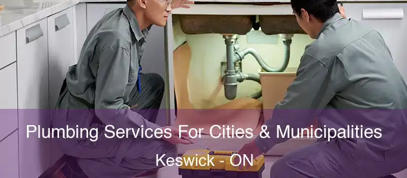  Plumbing Services For Cities & Municipalities Keswick - ON