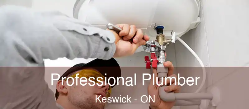  Professional Plumber Keswick - ON