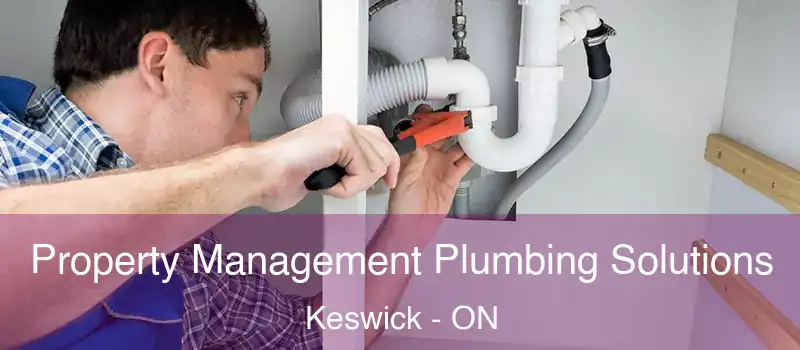  Property Management Plumbing Solutions Keswick - ON