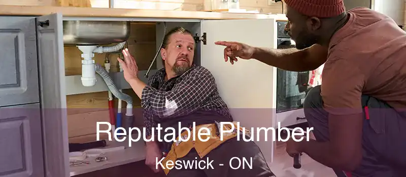  Reputable Plumber Keswick - ON