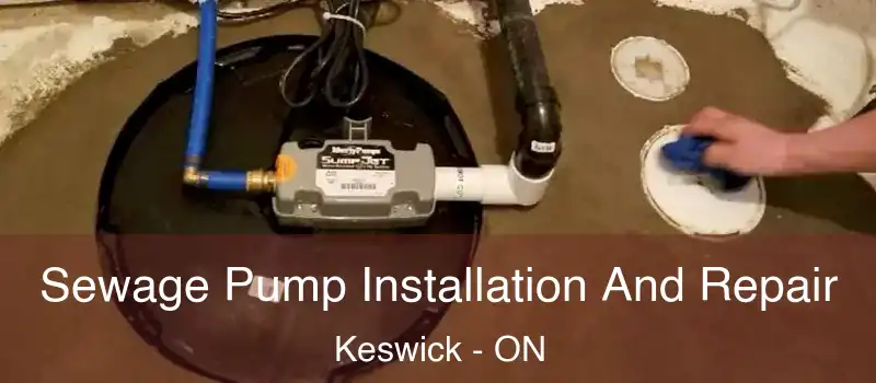  Sewage Pump Installation And Repair Keswick - ON