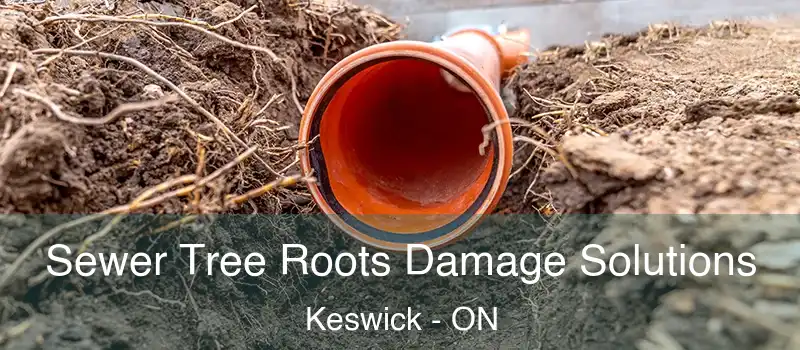 Sewer Tree Roots Damage Solutions Keswick - ON