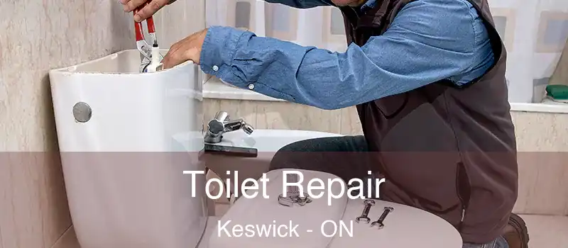  Toilet Repair Keswick - ON