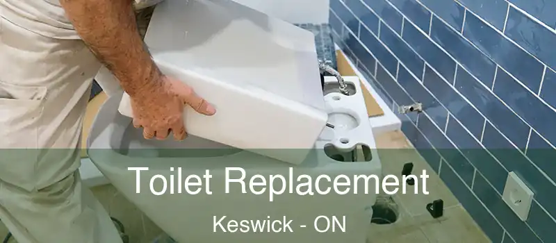  Toilet Replacement Keswick - ON