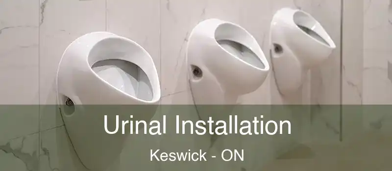  Urinal Installation Keswick - ON