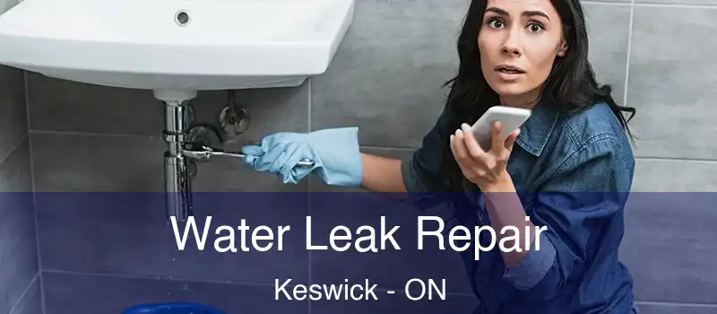  Water Leak Repair Keswick - ON