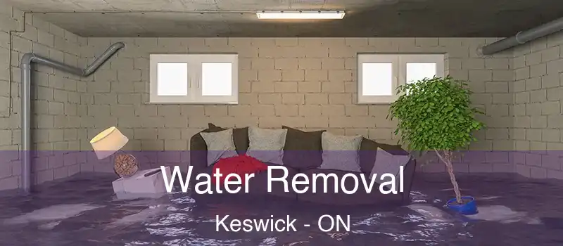  Water Removal Keswick - ON