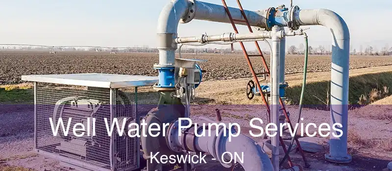  Well Water Pump Services Keswick - ON